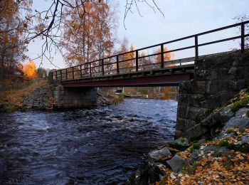 Tocht Te voet Pedersöre - Utterleden - Photo