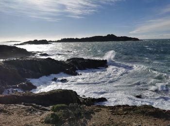 Trail Walking Hyères - Tour de la presqu'île de Giens est - Cap Esterel - Photo