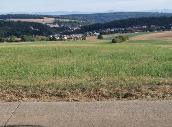 Tour Wandern Fontenais - banné/pinson - Photo