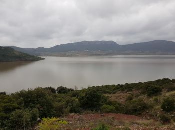 Excursión Marcha nórdica Le Puech - Les Vailhés Lac du Salagou 16 Mars 2022 - Photo