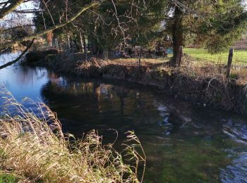 Randonnée Marche Villy-sur-Yères - Villy-sur-Yères  - Photo