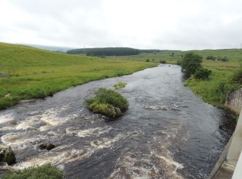 Tour Zu Fuß  - Bardennock Trail - Photo