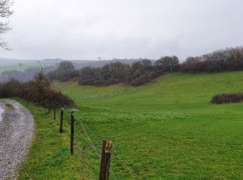 Tour Wandern Walcourt - Balade à Walcourt - Photo