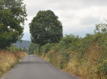 Tour Zu Fuß The Municipal District of Tullow - Clonegal Slí na Sláinte - Photo