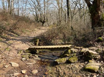 Tocht Stappen Urdazubi/Urdax - Azkar depuis Urdax - Photo