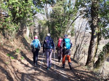 Excursión Senderismo Miribel-Lanchâtre - Les crêtes de la Ferrière en circuit - Photo