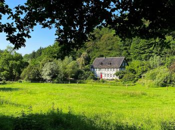 Trail On foot  - Aufderhöhe Rundweg A2 - Photo