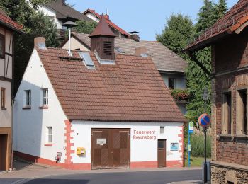 Percorso A piedi Johannesberg - Roter Hase Rundwanderweg Johannesberg - Photo