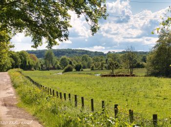 Randonnée Marche Sablons sur Huisne - Les Chemins de l'histoire 12,0 Km - Photo