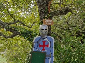 Randonnée Marche Rochefort-en-Valdaine - Le Colombier 