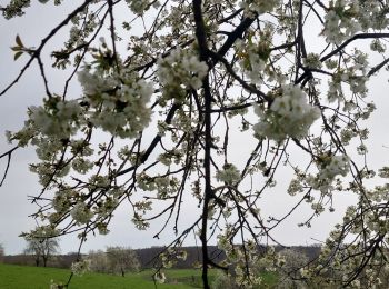 Tour Wandern Fougerolles-Saint-Valbert - Fougerolles Crollieres - Photo