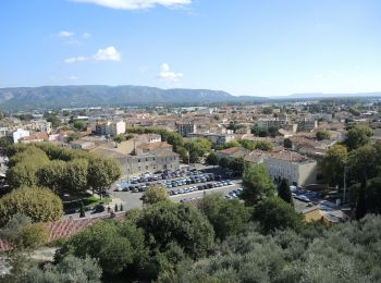 Excursión Senderismo Cavaillon - PF-Cavaillon, Colline St Jacques - Photo