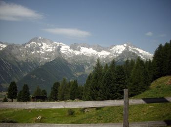 Tocht Te voet Sand in Taufers - Campo Tures - IT-17 - Photo