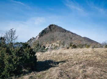 Randonnée Marche Saou - Forêt de Saoû - Les Pomerolles - Photo