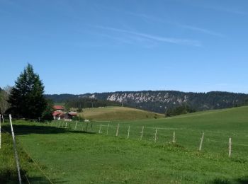 Randonnée Marche Grand'Combe-Châteleu - Étape 8 : Vieux Chateleu à les Alliés - Photo