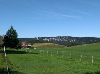 Trail Walking Grand'Combe-Châteleu - Étape 8 : Vieux Chateleu à les Alliés - Photo