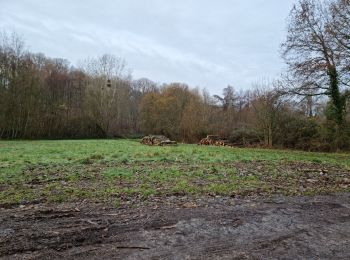 Randonnée Marche Villedômer - Villedomer - Étang de l'Arche - Photo