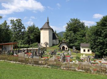 Tocht Te voet Gemeinde Warth - Haßbach - Talarhof - Photo