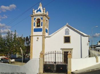 Trail On foot  - A Ribeira de Cheleiros - Photo