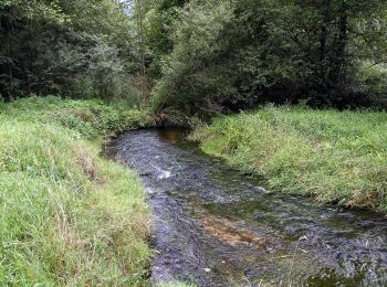 Percorso A piedi Jetřichovice - [Z] Dolský mlýn - Pod Borovinou - Photo