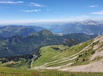 Tocht Stappen Faverges-Seythenex - tour de Sambuy - Photo