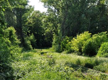 Percorso A piedi Sconosciuto - Panozzalacke Rundweg - Photo