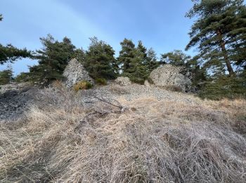 Percorso Marcia Salettes - Camp D’Anthoune, Salettes (Haute-Loire) - Photo