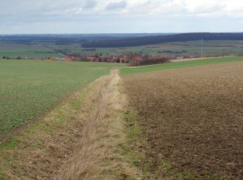 Tocht Te voet Königslutter am Elm - Elm Rundwanderweg 24 - Photo