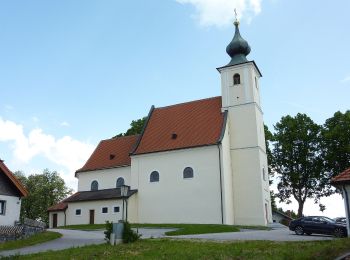 Excursión A pie Gemeinde Sallingberg - Augenbründlweg 10 - Photo