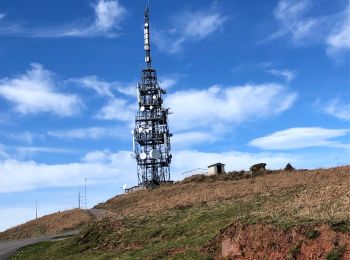 Tour Wandern Irouléguy - Jara par Irouleguy - Photo