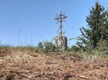 Excursión Senderismo Maurines - le bez,départ de Morsange  - Photo