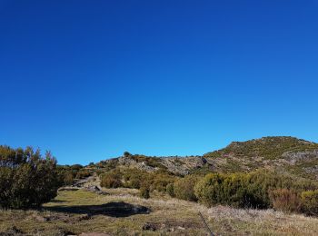 Trail Walking Ilha - Madère : vers le Pico Ruevo sommet de l'île - Photo