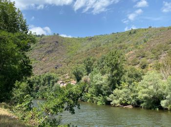 Randonnée sport Conques-en-Rouergue - Saint cyprien figeai - Photo