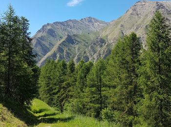 Randonnée Marche Crévoux - Parcours des Fées - Cascade de Razis - Photo