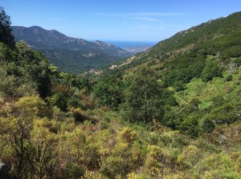 Randonnée Marche Balogna - Balogna, Madre crêtes  - Photo