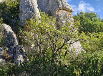 Trail Walking Vinon-sur-Verdon - vinon1 - Photo