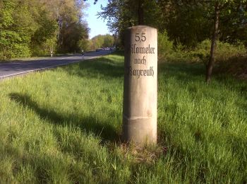 Tocht Te voet Heinersreuth - Rundwanderweg Heinersreuth 3 - Photo