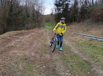 Percorso Mountainbike Vinay - Vinay-Serre de TrellinsPlaine-Pont de Treillins - Photo