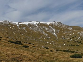 Percorso A piedi Gemeinde Schwarzau im Gebirge - Fleischersteig - Photo