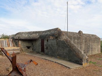 Tour Zu Fuß La Guérinière - En Passant par les Moulins - Photo