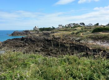 Trail Walking Saint-Malo - Rothénon - 8.3km 130m 2h50 - 2017 06 24 - Photo