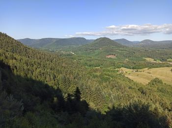 Randonnée V.T.T. Moyenmoutier - Moyenmoutier Tête du Coquin - Photo