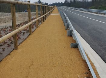 Randonnée Marche Vaumoise - Vaumoise Forêt de Gondreville 10 km - Photo