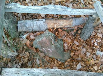 Percorso A piedi Neunkirchen - Grenzsteinweg - Photo