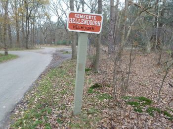 Trail On foot Hellendoorn - Sallandse Zandloper - hoofdroute - Photo