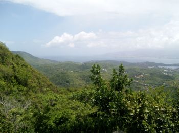 Tour Wandern Rivière-Salée - Rivière Salée Pagerie - Photo