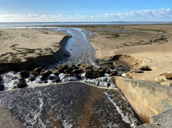 Tour Wandern Les Mathes - La palmyre SAR - Photo