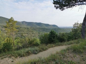 Excursión Bici de montaña Vallon-Pont-d'Arc -  Bois de bruyère Salavas - Photo