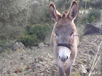 Tour Wandern Saint-Raphaël - Barre du Roussivau - Sommets des Perthus - Photo