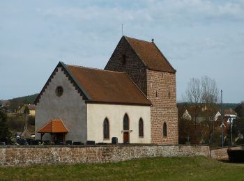 Tocht Te voet Wimmenau - Green triangle - Photo